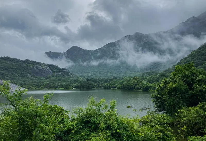 PARAMBIKULAM, AMARAVATHI DAM, PAZHANI, VALPARAI (4 Days)  22-11-24