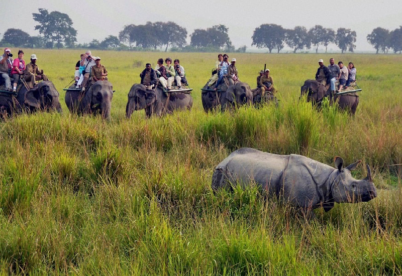 ASSAM - MEGHALAYA  - ARUNACHAL PRADESH Tour (18 Days) 06-11-24